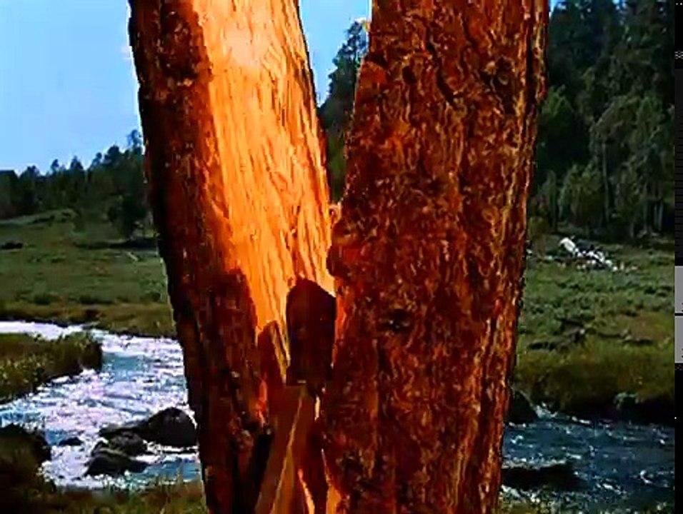 127. Daniel Boone   S05E15   Copperhead Izzy
