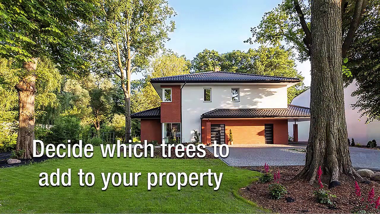 Leafy Landscapes Shared Some Lawn Care And Maintenance Tips