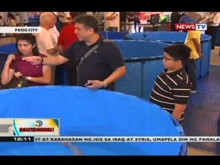 BT: Aabot sa 200 koi fish, isinabak sa Philippine National Koi Show