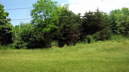 Z57 presents where's the beef?