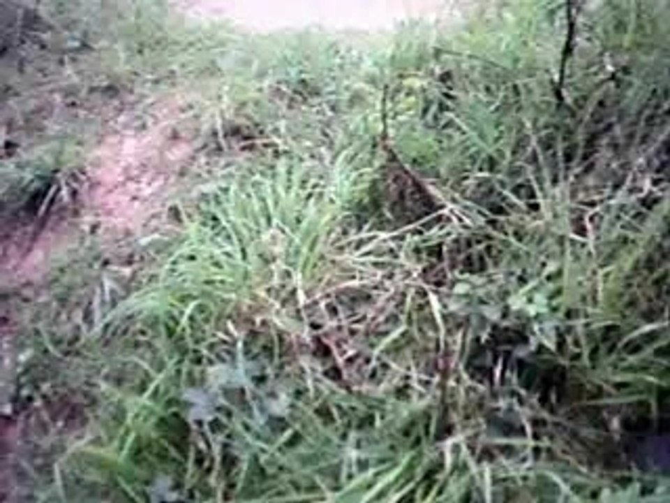 Air soft 9.09.2007