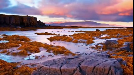 A Fiel Proteção - Meire  Tiele (Full HD)