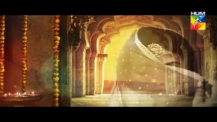 Kitni Girhein Baqi Hain Episode 14 - 29th January 2017