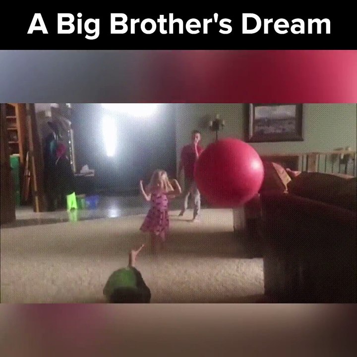 Funny Videos by Diply - Timeline
