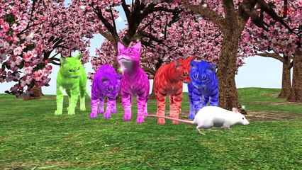 Nursery Rhymes Collection For Cartoon Kids Rhymes - Animals Songs And Nursery Rhymes
