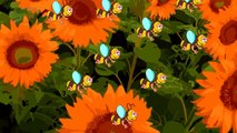Bees - BUZZ! Goes The Bee | Nursery Rhymes With Lyrics