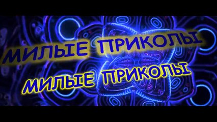 Забавные обезьянки #4.Amusing monkeys.#4.