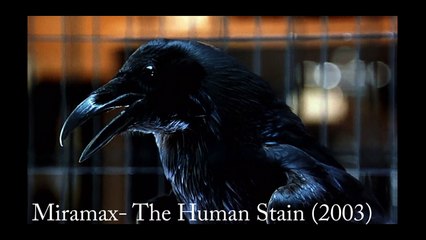 CineZoo Media Group Demo Reel