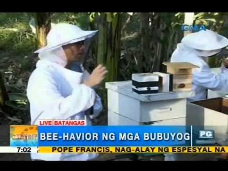 The health benefits of bee sting | Unang Hirit