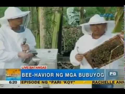 Bees and their 'bee'-havior | Unang Hirit