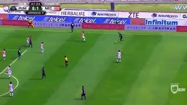 Nicolás Castillo GOAL HD - Pumas vs Necaxa 1-1