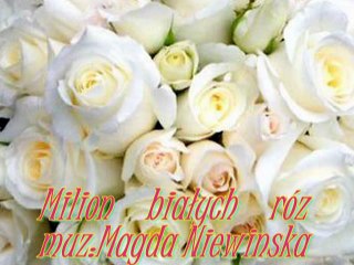 Milion białych róż- Magda Niewińska