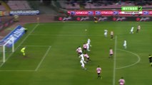 Ilija Nestorovski Goal HD - Napoli	0-1	Palermo 29.01.2017