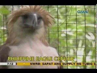 Unang Hirit travels: Wow, Davao! | Unang Hirit