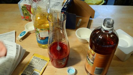 Black And Decker Gizmo Salad Dressing Mixer Review