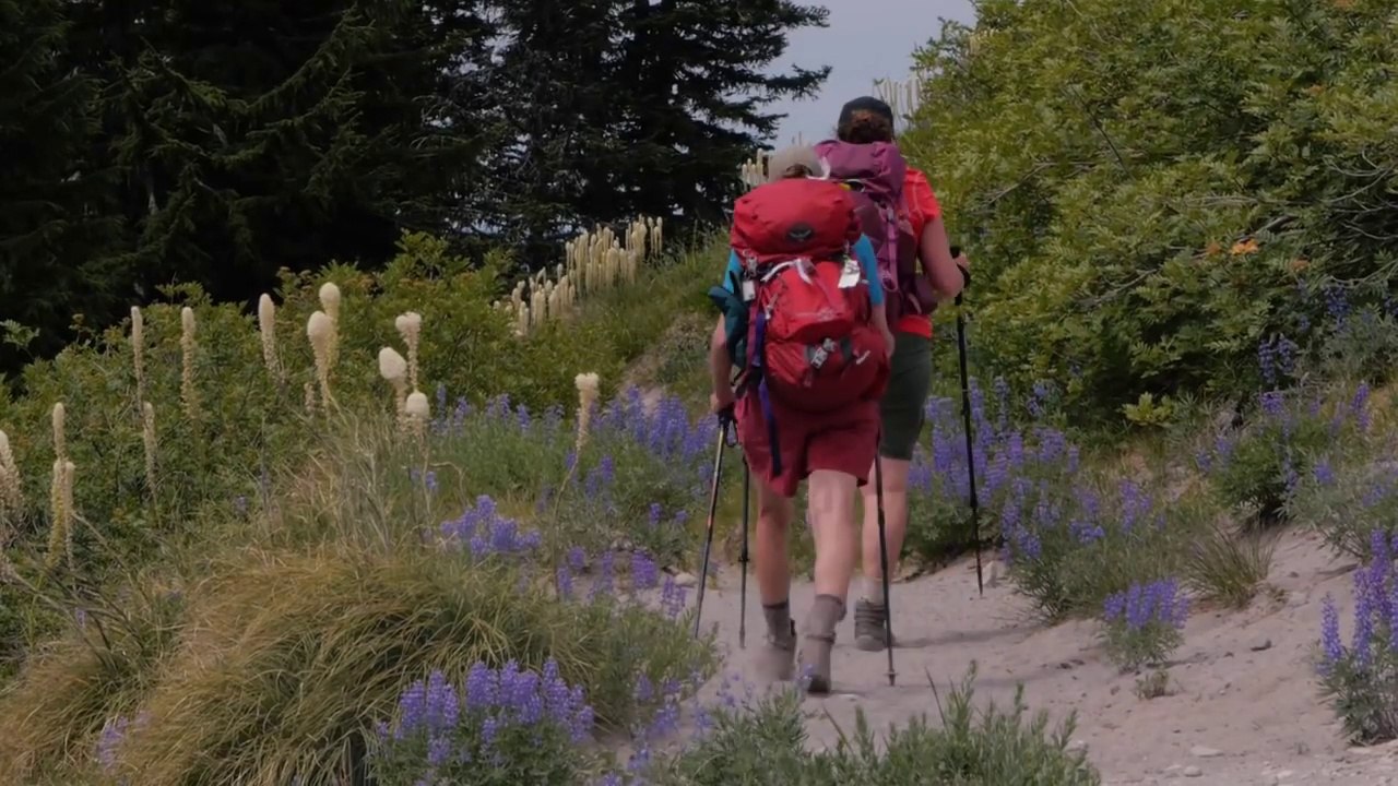 Visit Timberline Lodge and Ski Resort