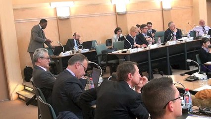 CD 89 : la charge d'Isabelle Froment Meurice contre l'organisation des services et des commissions