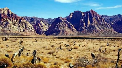 ЗЛОВЕЩАЯ ТАЙНА ЗОНЫ МОЛЧАНИЯ!!!