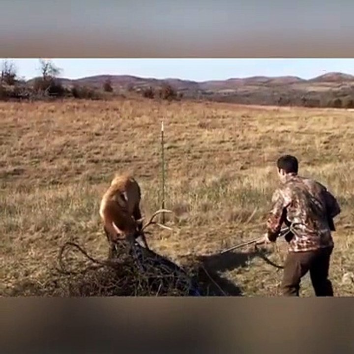 Kjo është gjuajtja më e mirë dhe me precize në botë