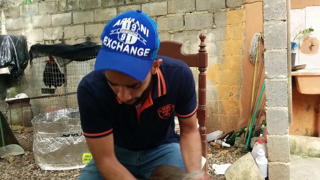 Otra Gira Disponible Jaime Doorly x Jaime Doorly. 829-320-4700