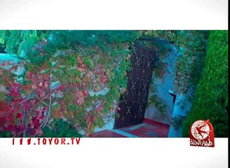 قلب الماما - عمر الصعيدي طيور الجنة