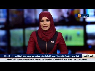 البيض: نفوق مئات الأغنام بسبب سوء الأحوال الجوية.. وخسائر كبيرة يتكبدها الموالون