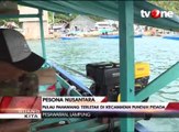 Pulau Pawahang, Surganya Snorkeling di Lampung