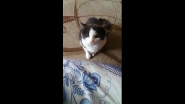 Ну вы поняли 360