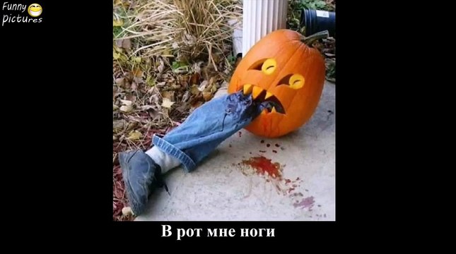 Приколы Лучшие ПРИКОЛЫ