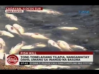 24Oras: Tone-toneladang tilapia, nangamatay dahil umano sa inanod na basura