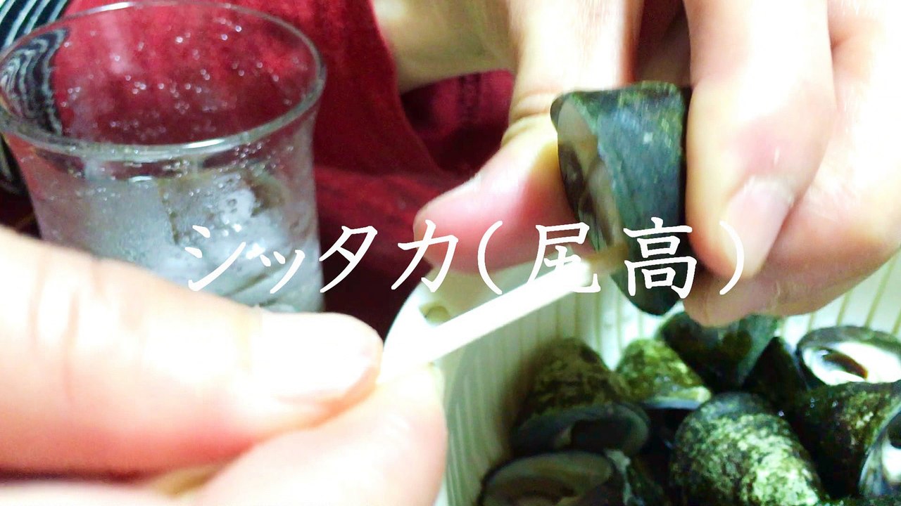 シッタカ(天然・地物)尻高・イッコ・たかじり