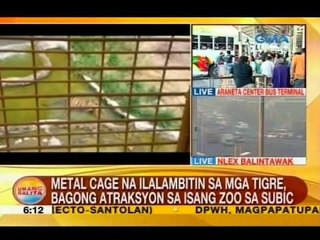 UB: Metal cage na ilalambitin sa mga tigre, bagong atraksyon sa isang zoo sa Subic