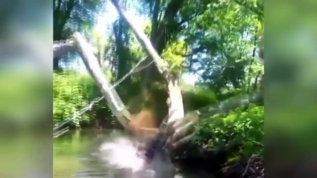 ЛУЧШИЕ ПРИКОЛЫ 2016 ИЮЛЬ Самые смешные приколы за июль 2016 Выпуск 10