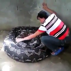 BEST RELATION BETWEEN SNAKES AND HUMANS