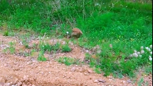 Подборка ЛУЧШИХ приколов 2015 РЖАКА УГАР 18