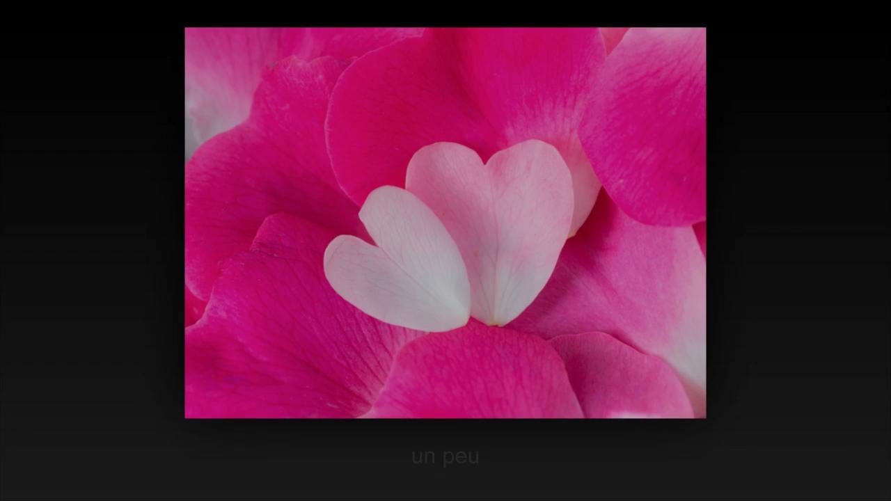 coeurs dans tous ses états