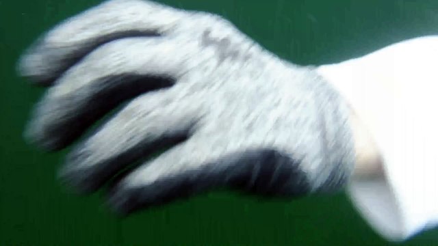 Me snorkeling and swimming in Keys