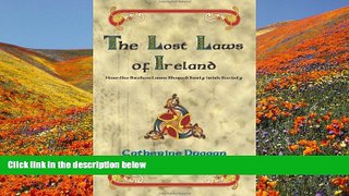 DOWNLOAD EBOOK The Lost Laws of Ireland Catherine Duggan Pre Order