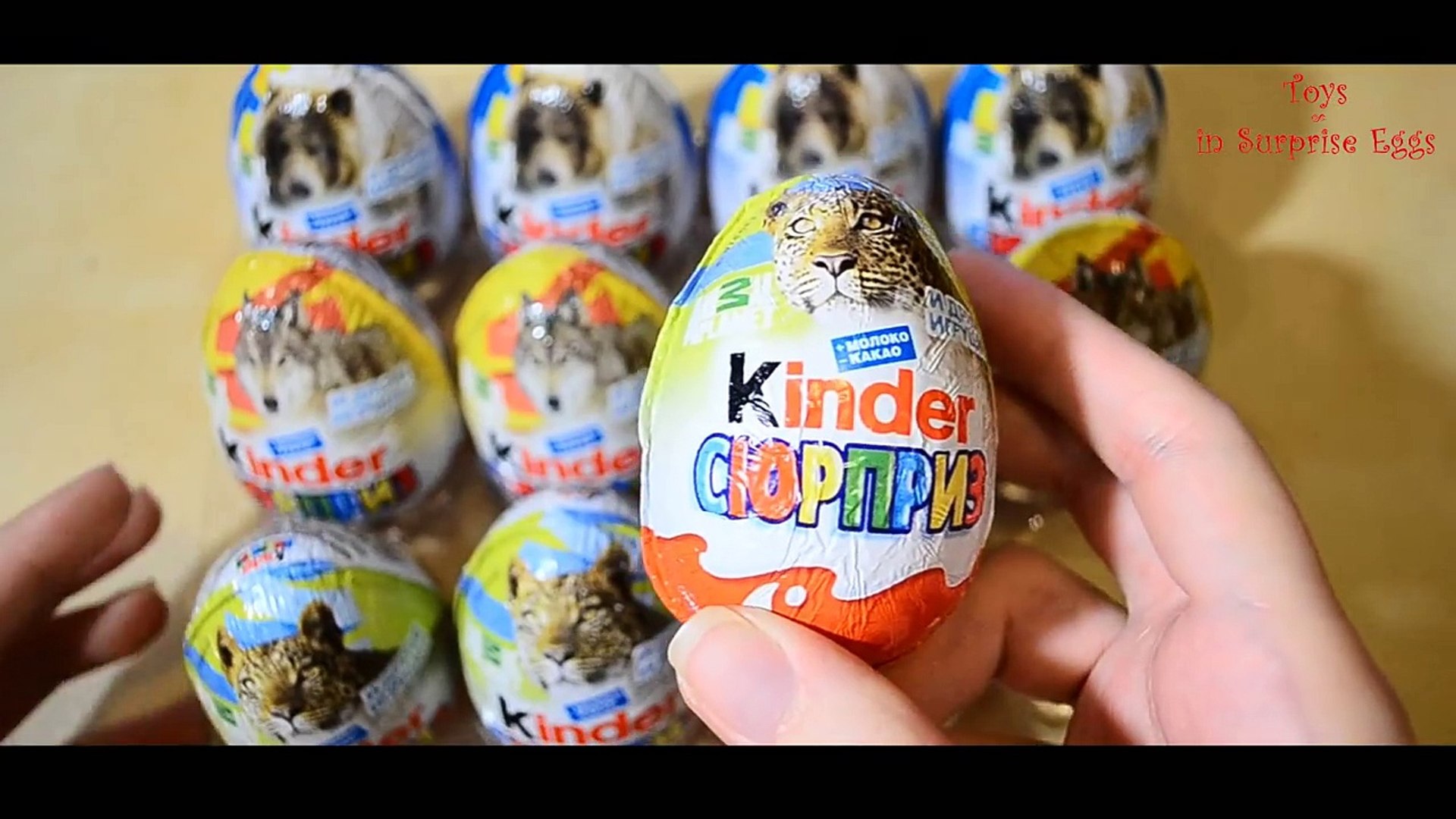 ⁣Киндер Сюрприз на русском языке Животные Kinder Surprise Animal Planet new