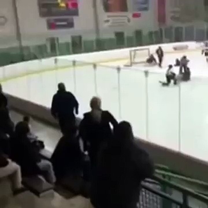 Way to go, Paul- Crazy hockey dad - ORIGINAL -