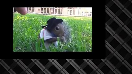 Самые новые угарные приколы! Подборка Приколов 2015