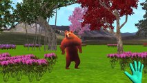 Bear Finger Family Rhymes | Bear Finger Family Children Nursery Rhymes | Animal Cartoons