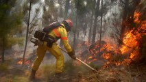 Cile devastato dagli incendi. Distrutti 400.000 ettari di terreno