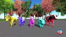 Frozen surprise eggs Street vehicles names for Kids - Animals finger Family rhymes 3d Cartoon