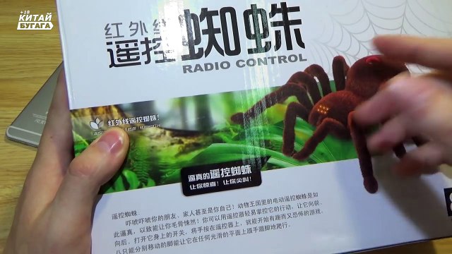 RC ПАУК БЕСПЛАТНО ОТ КИТАЙЦЕВ - ВАША КОШКА БУДЕТ В ШОКЕ