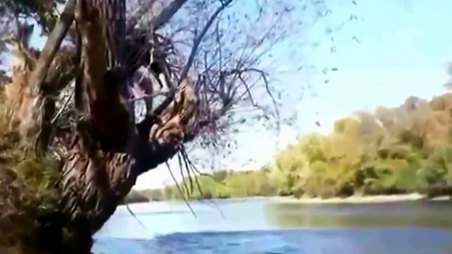 Зубами поднял стол - нелепые русские приколы