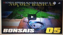 BONSAI: APRENDA AS NOÇÕES BÁSICAS- BonsaiCurso #04