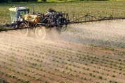 Pesticides, le Poison de la Terre - HD (2016)