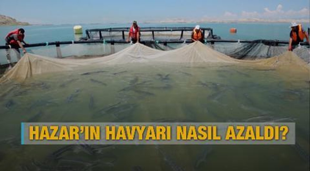 Belgesel: Hazar'ın havyarı nasıl azaldı?