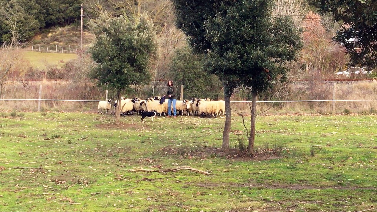 molly 4,5 mois part 3